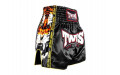 Шорты для бокса Twins Special TBS New Payak L