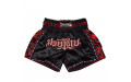 Шорты для бокса Twins Special TBS skull black S