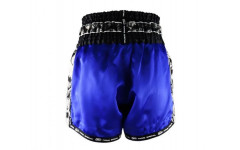 Шорты для бокса Twins Special TBS skull blue L