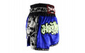 Шорты для бокса Twins Special TBS skull blue S