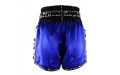 Шорты для бокса Twins Special TBS skull blue S